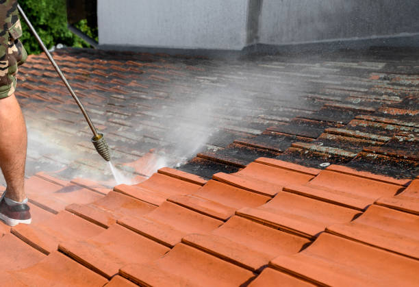 Best Affordable Power Washing  in Ashland City, TN